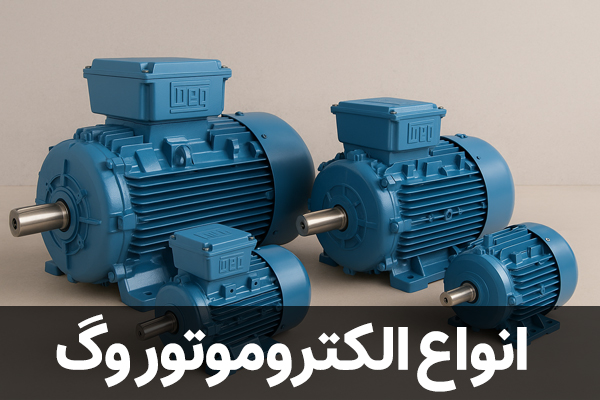 انواع الکتروموتور وگ